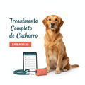 Curso digital de treinamento de cachorro com cão e tablet sobre fundo branco
